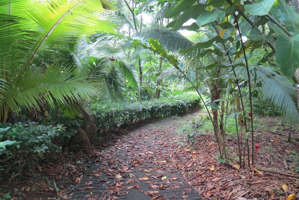 Karibu Apartment Nationalpark Manuel Antonio